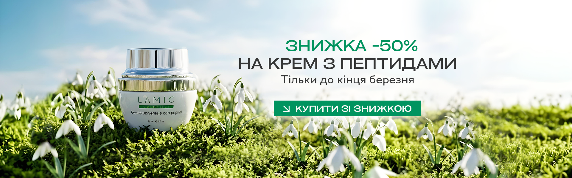 Описание изображения