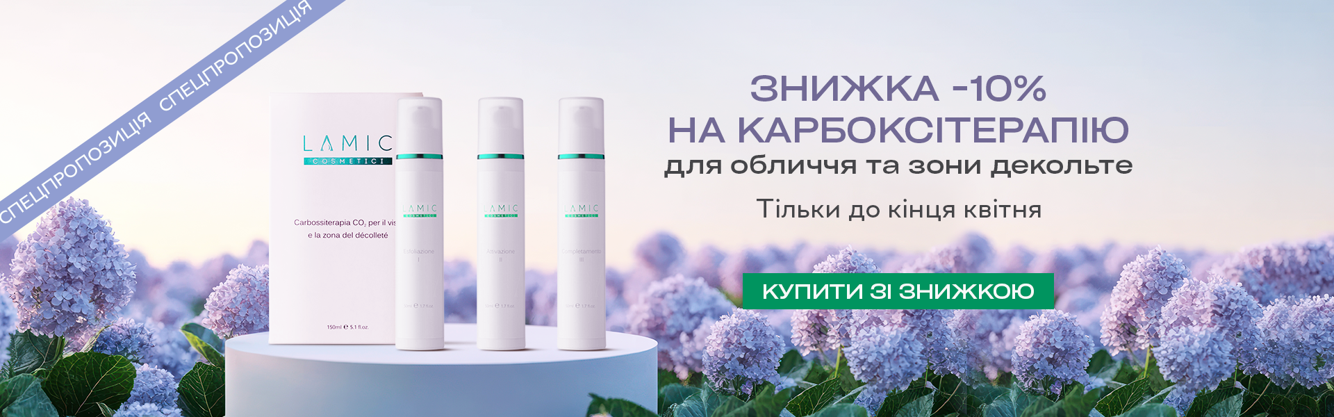 Описание изображения