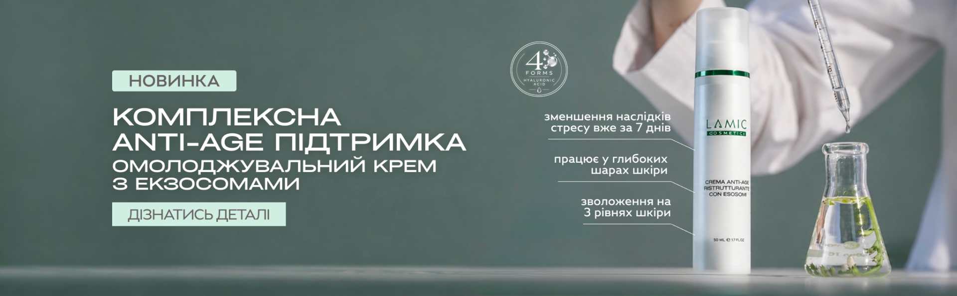 Описание изображения