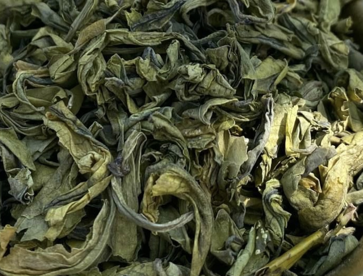 Гідролат зеленого чаю 